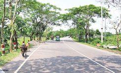 মিরা বাজার প্রপার্টি ইনসাইট
