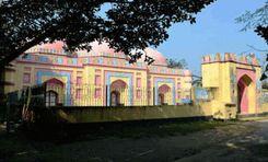 parulia masque নরসিংদী