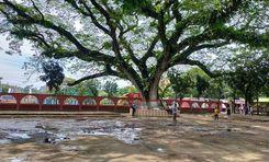 Kishoreganj Property Insights
