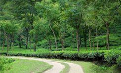 নয়াসড়ক প্রপার্টি ইনসাইট