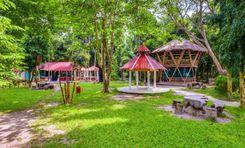 Narail Property Insights