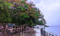 ঝালকাঠি প্রপার্টি ইনসাইট