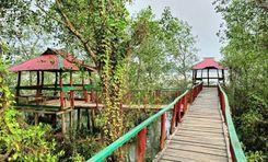 kathalia muktijoddha eco park  Jhalokati
