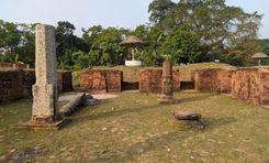 Netrokona Property Insights