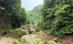 chandradinga, panchgaon, kalmakanda Netrokona
