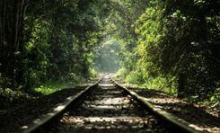 lawachara national park মৌলভীবাজার