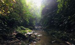 lasuban canyon শ্রীমঙ্গল