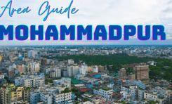 Mohammadpur Property Insights